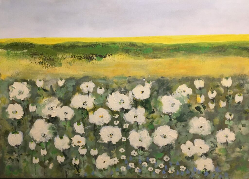 white poppies